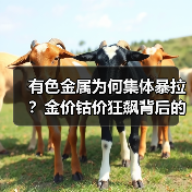 有色金属为何集体暴拉?金价钴价狂飙背后的逻辑揭秘(图1) 有色金属为何集体暴拉?金价钴价狂飙背后的逻辑揭秘(图1)