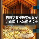 培育钻石板块集体爆发,中国技术如何掌控全球芯片命脉?(图4) 培育钻石板块集体爆发,中国技术如何掌控全球芯片命脉?(图4)