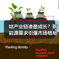 钴产业链谁最成长?新能源需求引爆市场格局(图4) 钴产业链谁最成长?新能源需求引爆市场格局(图4)
