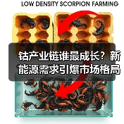 钴产业链谁最成长?新能源需求引爆市场格局(图2) 钴产业链谁最成长?新能源需求引爆市场格局(图2)
