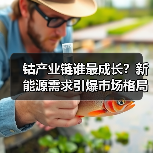 钴产业链谁最成长?新能源需求引爆市场格局(图3) 钴产业链谁最成长?新能源需求引爆市场格局(图3)