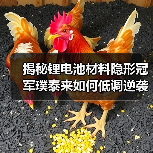 揭秘锂电池材料隐形冠军璞泰来如何低调逆袭(图1) 揭秘锂电池材料隐形冠军璞泰来如何低调逆袭(图1)
