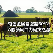 有色金属暴涨超60%!A股新风口为何突然爆发?(图2) 有色金属暴涨超60%!A股新风口为何突然爆发?(图2)