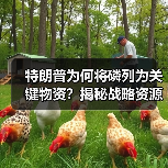 特朗普为何将磷列为关键物资？揭秘战略资源多重价值（图2）
