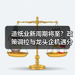 造纸业新周期将至？政策调控与龙头企机遇分析（图4）