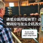 造纸业新周期将至？政策调控与龙头企机遇分析（图3）