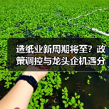 造纸业新周期将至？政策调控与龙头企机遇分析（图2）