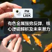 有色金属强势反弹，核心逻辑解析及未来潜力分析（图4）