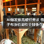 AI爆发推高玻纤需求 电子布涨价潮引全球争夺（图4）