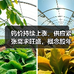钨价持续上涨，供应紧张需求旺盛，概念股年内翻倍（图4）