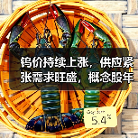 钨价持续上涨，供应紧张需求旺盛，概念股年内翻倍（图3）