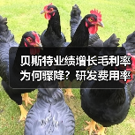贝斯特业绩增长毛利率为何骤降?研发费用率下滑引质疑(图2) 贝斯特业绩增长毛利率为何骤降?研发费用率下滑引质疑(图2)