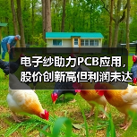 电子纱助力PCB应用，股价创新高但利润未达巅峰（图1）