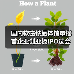 国内软磁铁氧体销量榜首企业创业板IPO过会，背后有何玄机？（图4）