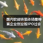 国内软磁铁氧体销量榜首企业创业板IPO过会，背后有何玄机？（图2）