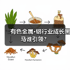 有色金属·铝行业成长黑马谁引领？（图4）