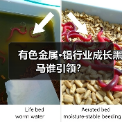 有色金属·铝行业成长黑马谁引领？（图2）