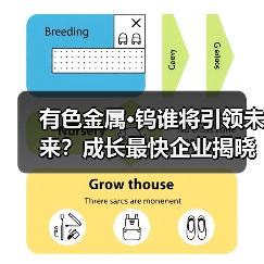 有色金属·钨谁将引领未来？成长最快企业揭晓（图1）