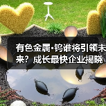 有色金属·钨谁将引领未来？成长最快企业揭晓（图4）