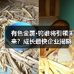 有色金属·钨谁将引领未来？成长最快企业揭晓（图3）