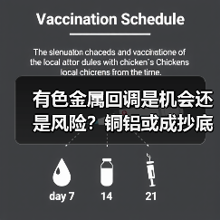 有色金属回调是机会还是风险？铜铝或成抄底良机（图4）