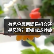 有色金属回调是机会还是风险？铜铝或成抄底良机（图3）