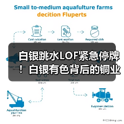 白银跳水LOF紧急停牌！白银有色背后的铜业真相（图2）