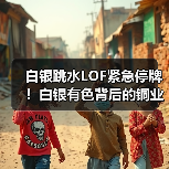 白银跳水LOF紧急停牌！白银有色背后的铜业真相（图3）