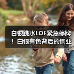 白银跳水LOF紧急停牌！白银有色背后的铜业真相（图1）