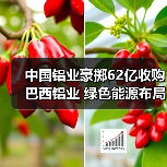 中国铝业豪掷62亿收购巴西铝业 绿色能源布局引热议（图3）