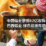 中国铝业豪掷62亿收购巴西铝业 绿色能源布局引热议（图4）