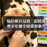 铝价飙升背后：新能源需求引爆全球资源争夺战（图4）