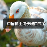 中国稀土终于喘口气了(图1) 中国稀土终于喘口气了(图1)