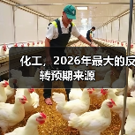 化工,2026年最大的反转预期来源(图4) 化工,2026年最大的反转预期来源(图4)