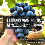 科思创珠海新TPU生产基地正式投产:深耕中国,辐射全球(图3) 科思创珠海新TPU生产基地正式投产:深耕中国,辐射全球(图3)