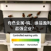 有色金属·钨,谁是盈利最强企业?(图1) 有色金属·钨,谁是盈利最强企业?(图1)