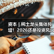 资本 | 稀土龙头集体预增！2026还是投资风口吗？（图3）