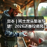 资本 | 稀土龙头集体预增！2026还是投资风口吗？（图4）