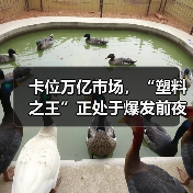 卡位万亿市场，“塑料之王”正处于爆发前夜（图1）