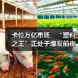 卡位万亿市场，“塑料之王”正处于爆发前夜（图4）