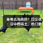 急着去海底挖?日企说:没中国稀土,他们最多撑3-6个月(图3) 急着去海底挖?日企说:没中国稀土,他们最多撑3-6个月(图3)