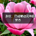 涨价，已成被动元件新常态（图2）