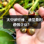 太空碳纤维，谁是盈利最强企业？（图2）