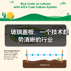 玻璃盖板，一个技术趋势清晰的行业（图3）