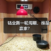 钴业新一轮周期,谁是赢家?(图4) 钴业新一轮周期,谁是赢家?(图4)