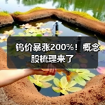 钨价暴涨200%!概念股梳理来了(图3) 钨价暴涨200%!概念股梳理来了(图3)