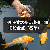 碳纤维龙头大动作!概念股盘点(名单)(图3) 碳纤维龙头大动作!概念股盘点(名单)(图3)