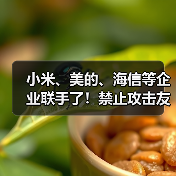 小米、美的、海信等企业联手了！禁止攻击友商，携手力推“铝代铜”（图3）