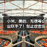 小米、美的、海信等企业联手了！禁止攻击友商，携手力推“铝代铜”（图2）