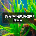 陶瓷球在精密传动件上的应用（图1）